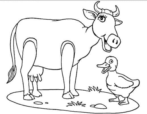 Kráva a kachna omalovánka