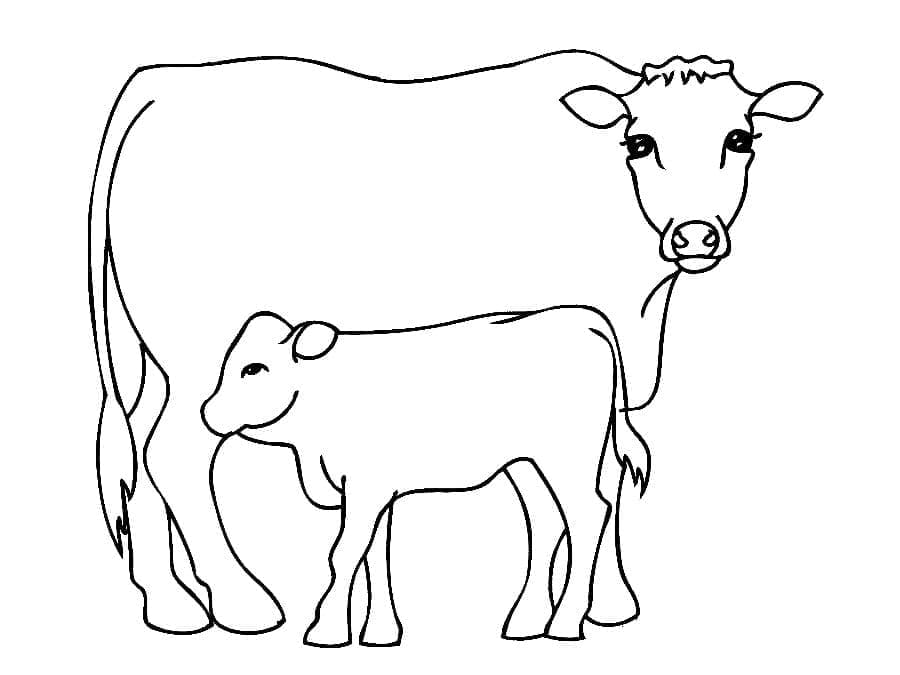 Kráva a tele omalovánka