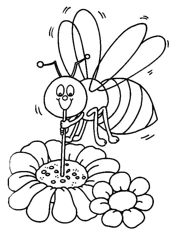 Kreslený Včela Sát Nektar omalovánka