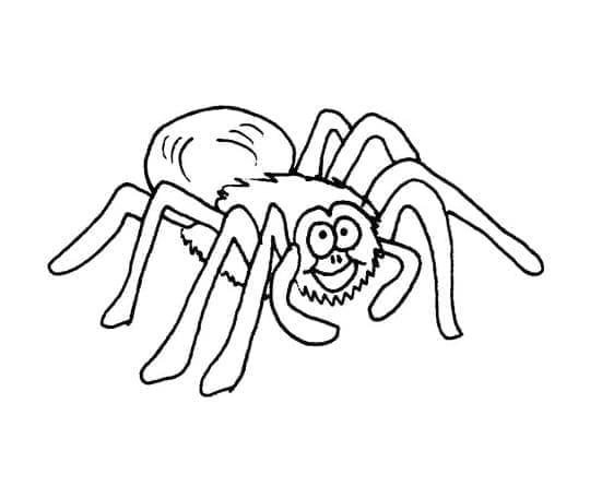 Omalovánka Kreslený pavouk