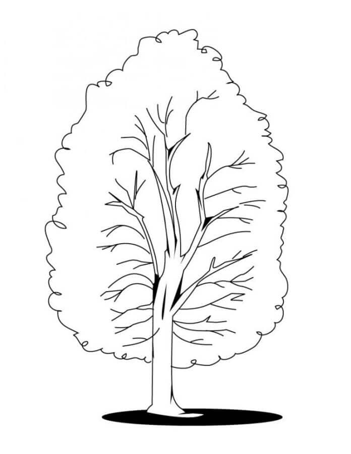 Laskavý strom omalovánka