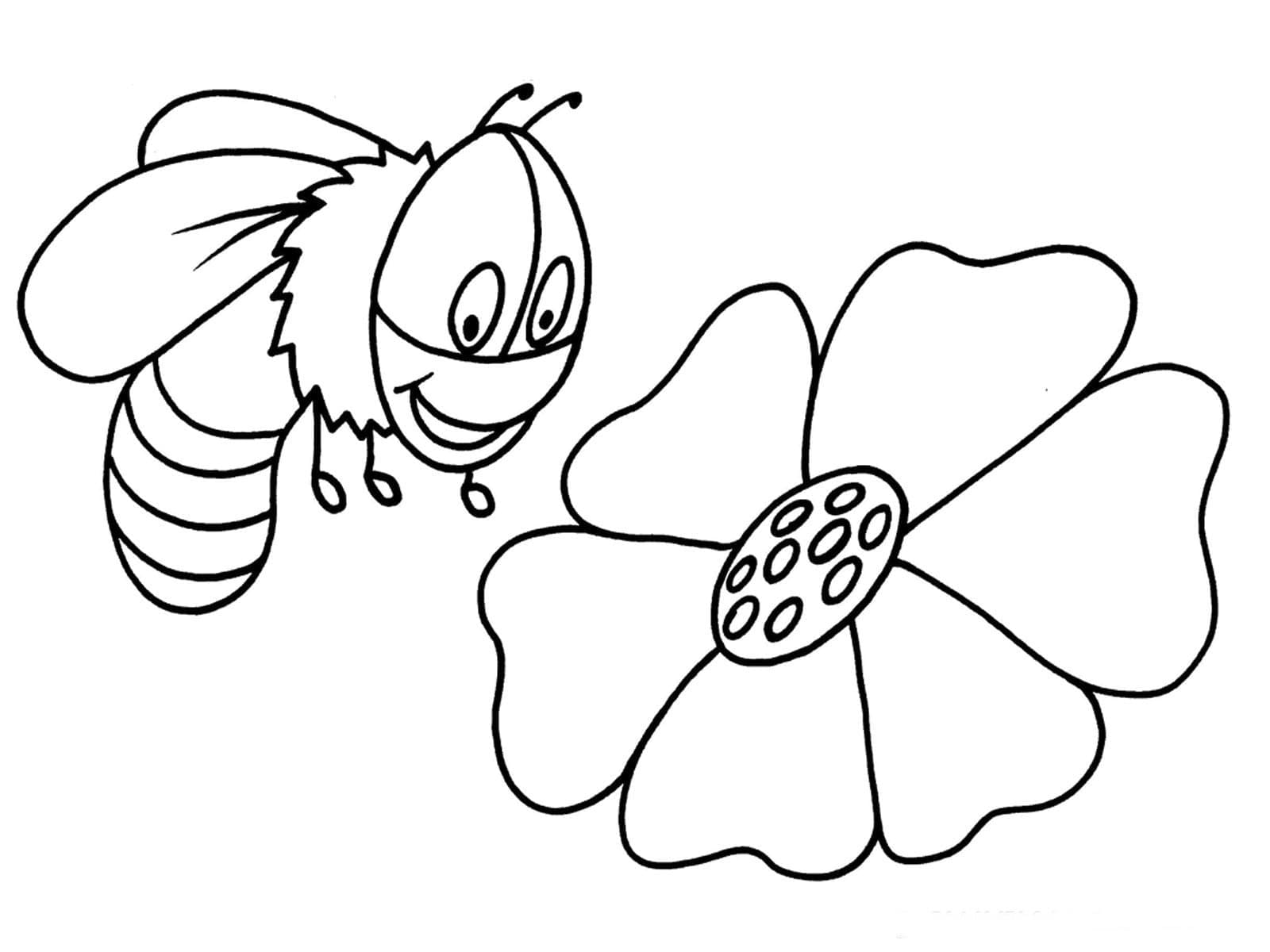 Omalovánka Legrační včela a květina