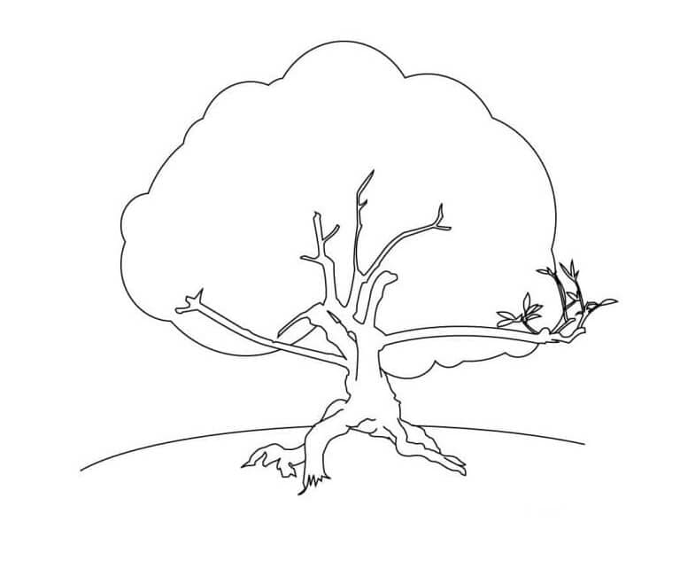 Lesní strom omalovánka