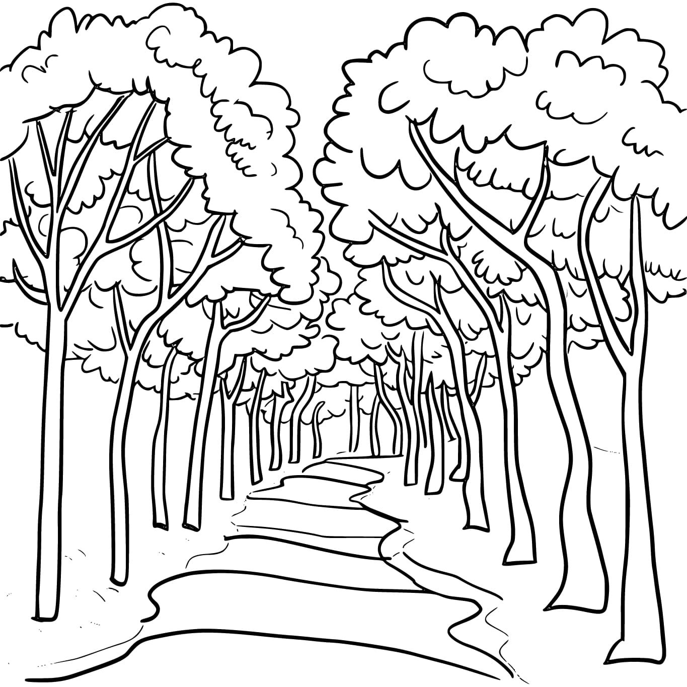Obrázek stromů a silnice omalovánka
