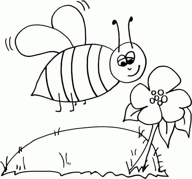 Obrázek včely a květiny pro dítě omalovánka