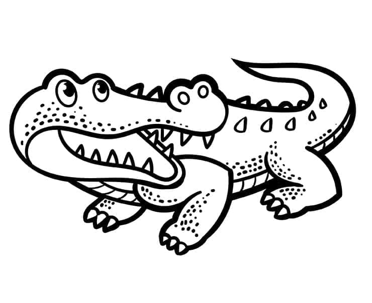 Obrys krokodýla omalovánka