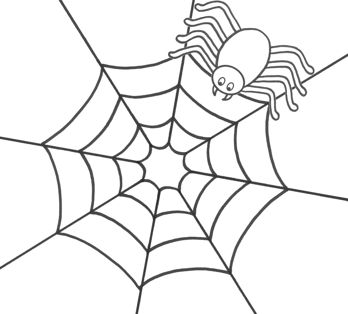 Pavouk na pavučině omalovánka