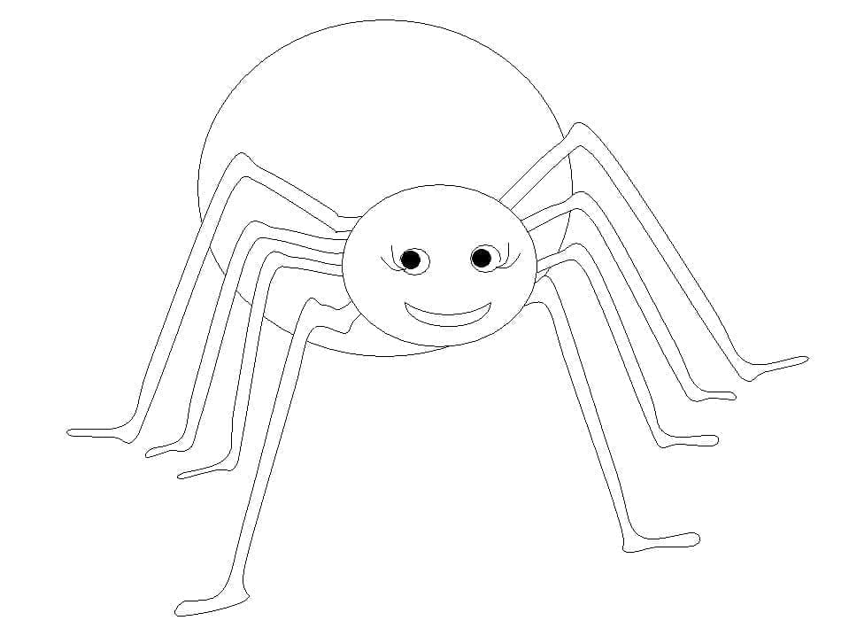Omalovánka Šťastný pavouk
