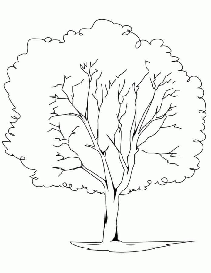 Strom S Mnoha Listy omalovánka