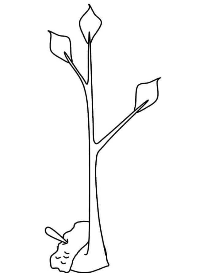Stromek omalovánka