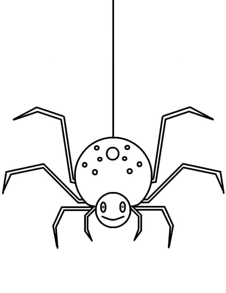 Usmívající se pavouk omalovánka
