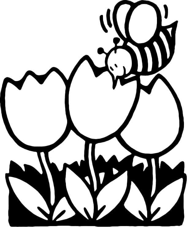Omalovánka Včela a tulipány