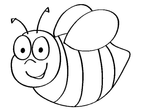 Včelí med omalovánka