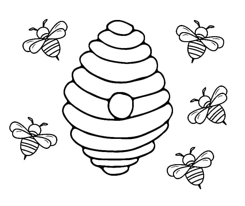 Včely a úl omalovánka