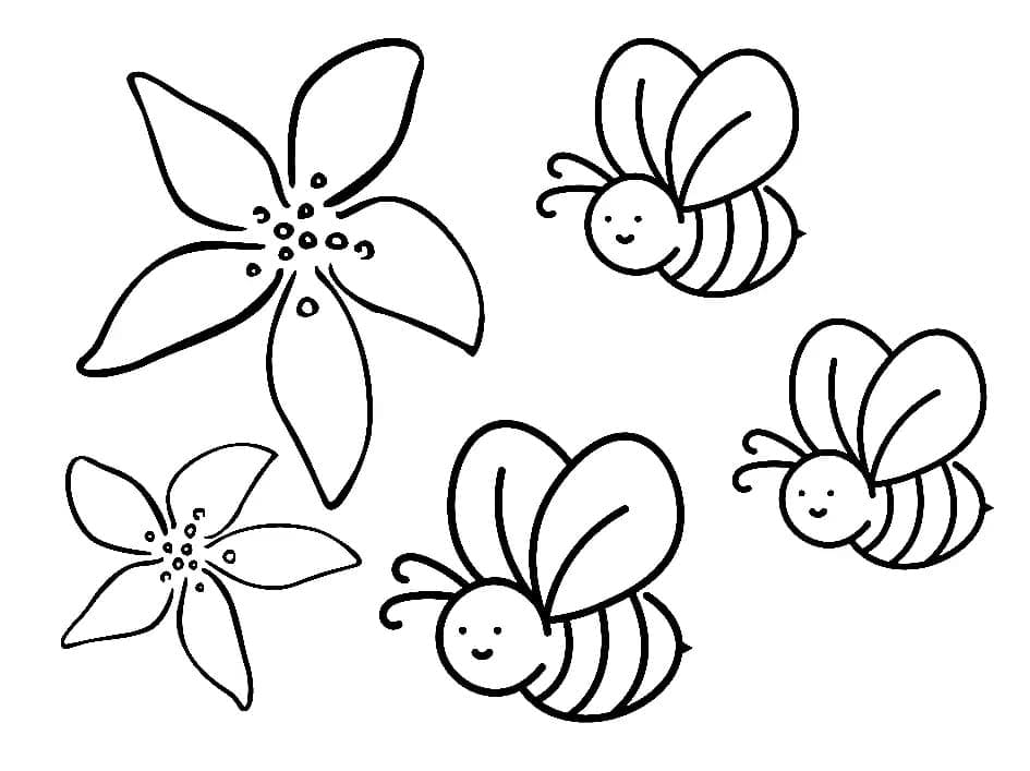 Včely s květinami omalovánka