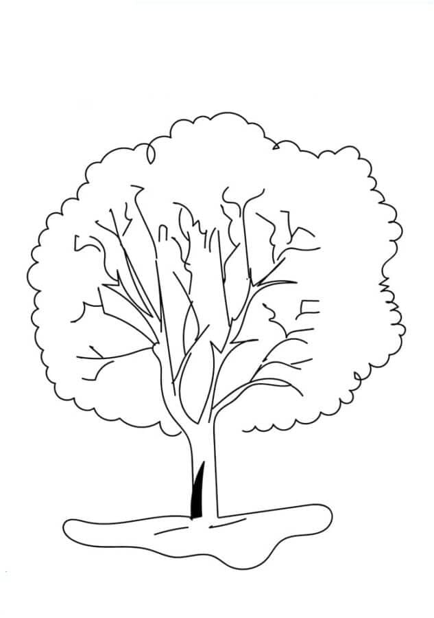 Velký strom omalovánka