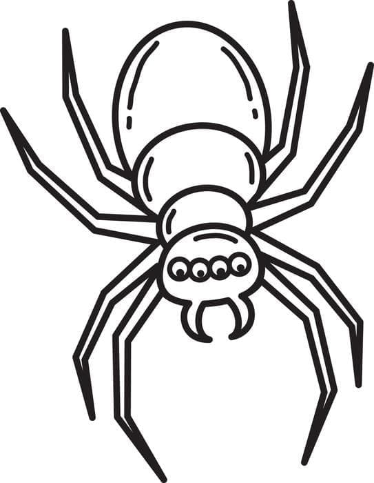 Velmi jednoduchý pavouk omalovánka