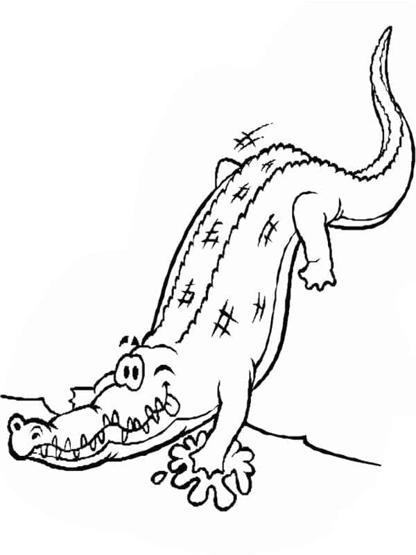 Omalovánka Veselý krokodýl