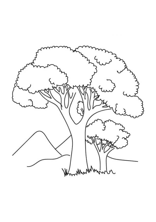 Základní dva stromy omalovánka