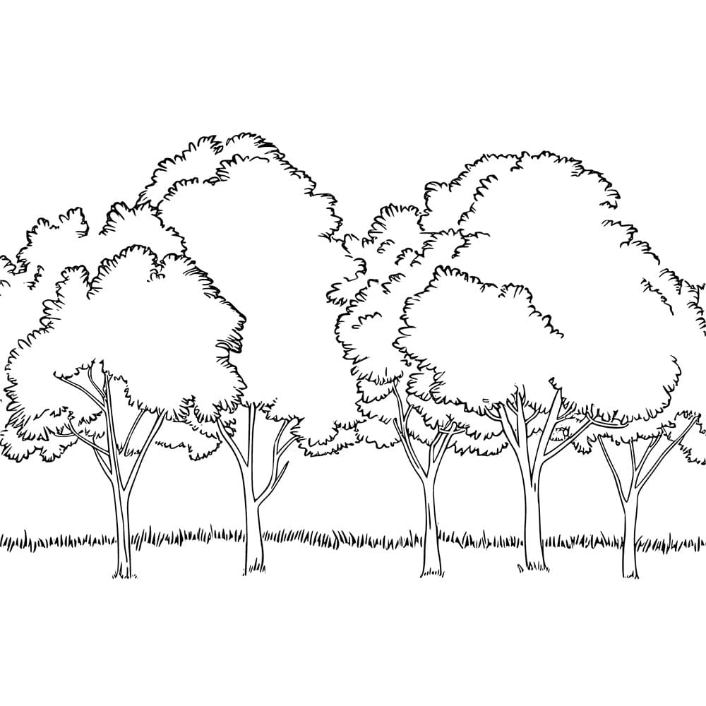 Základní obrázek stromů omalovánka