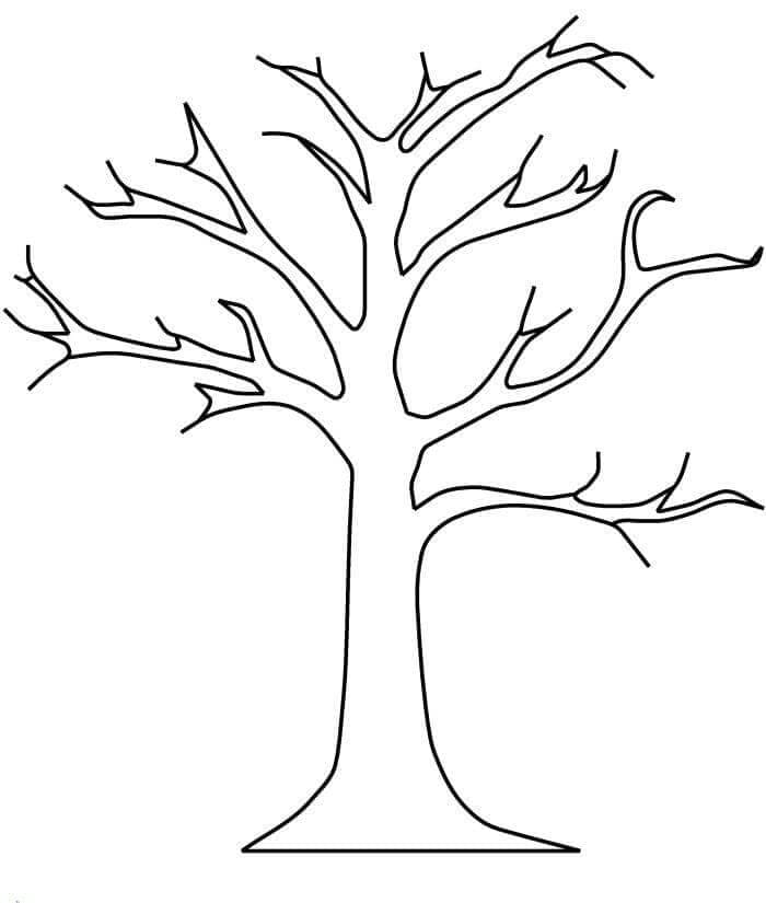 Základní strom bez listí omalovánka