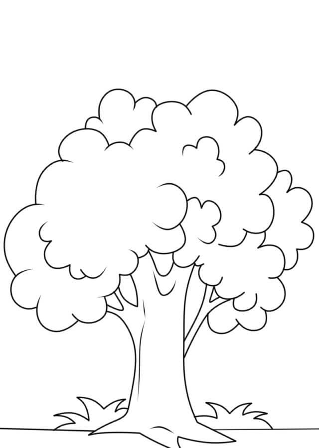 Základní strom omalovánka