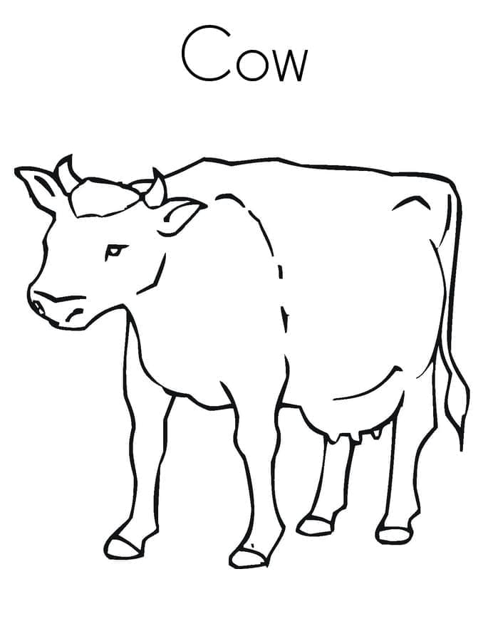 Zvířecí kráva omalovánka