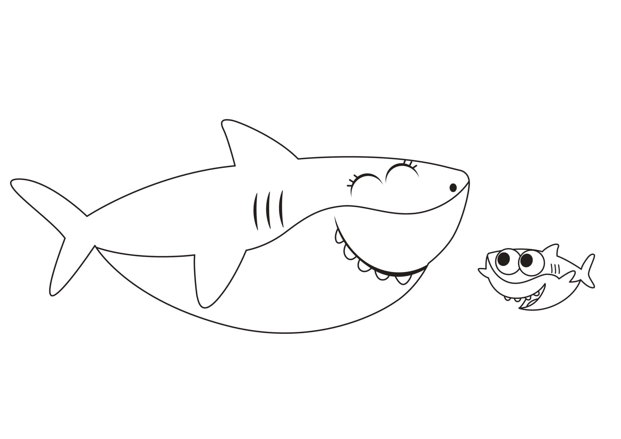 Baby Shark Zdarma perokresby omalovánka