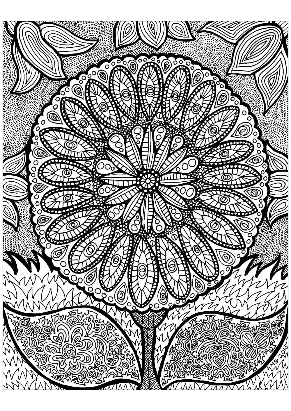 Květinový zentangle omalovánka