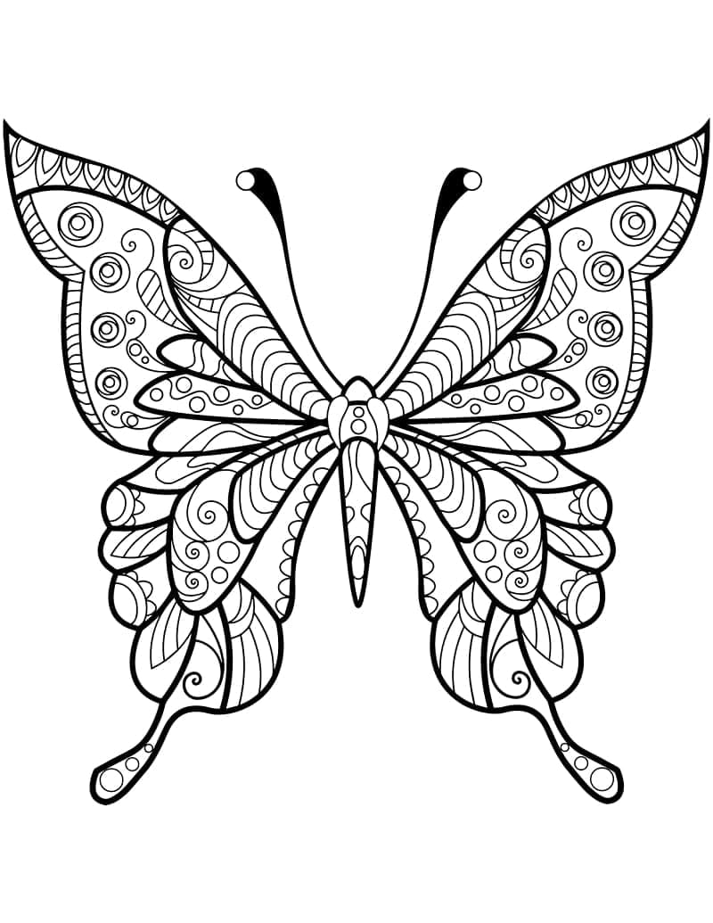 Motýlí zentangle omalovánka