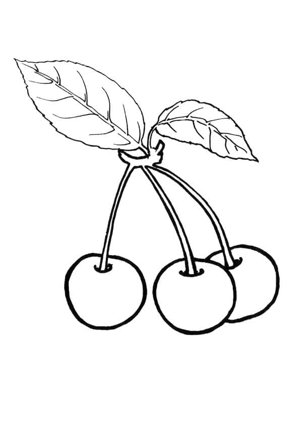 Třešně pro dítě omalovánka