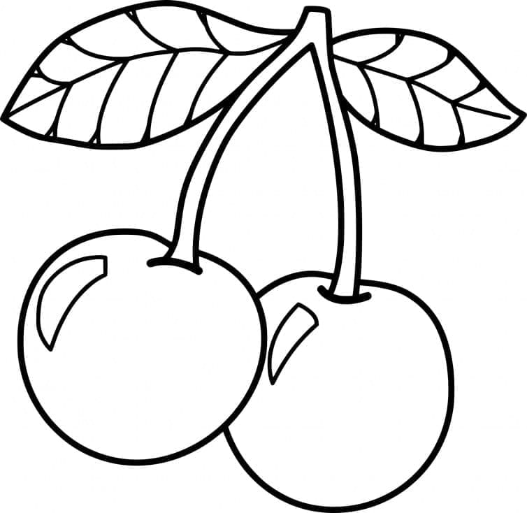Třešně omalovánky