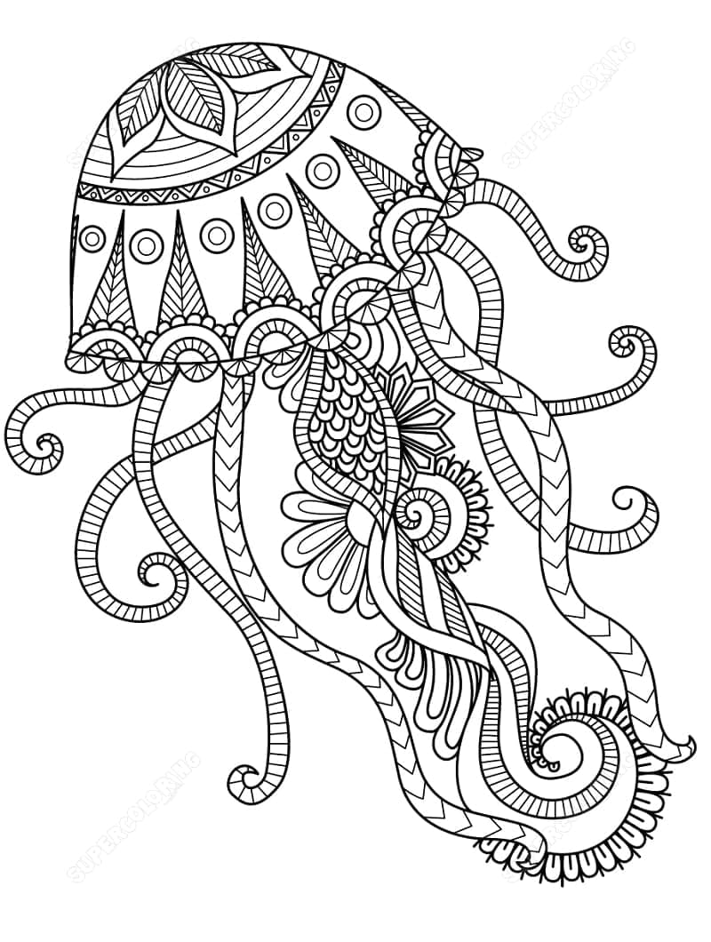 Zentangle medúzy omalovánka
