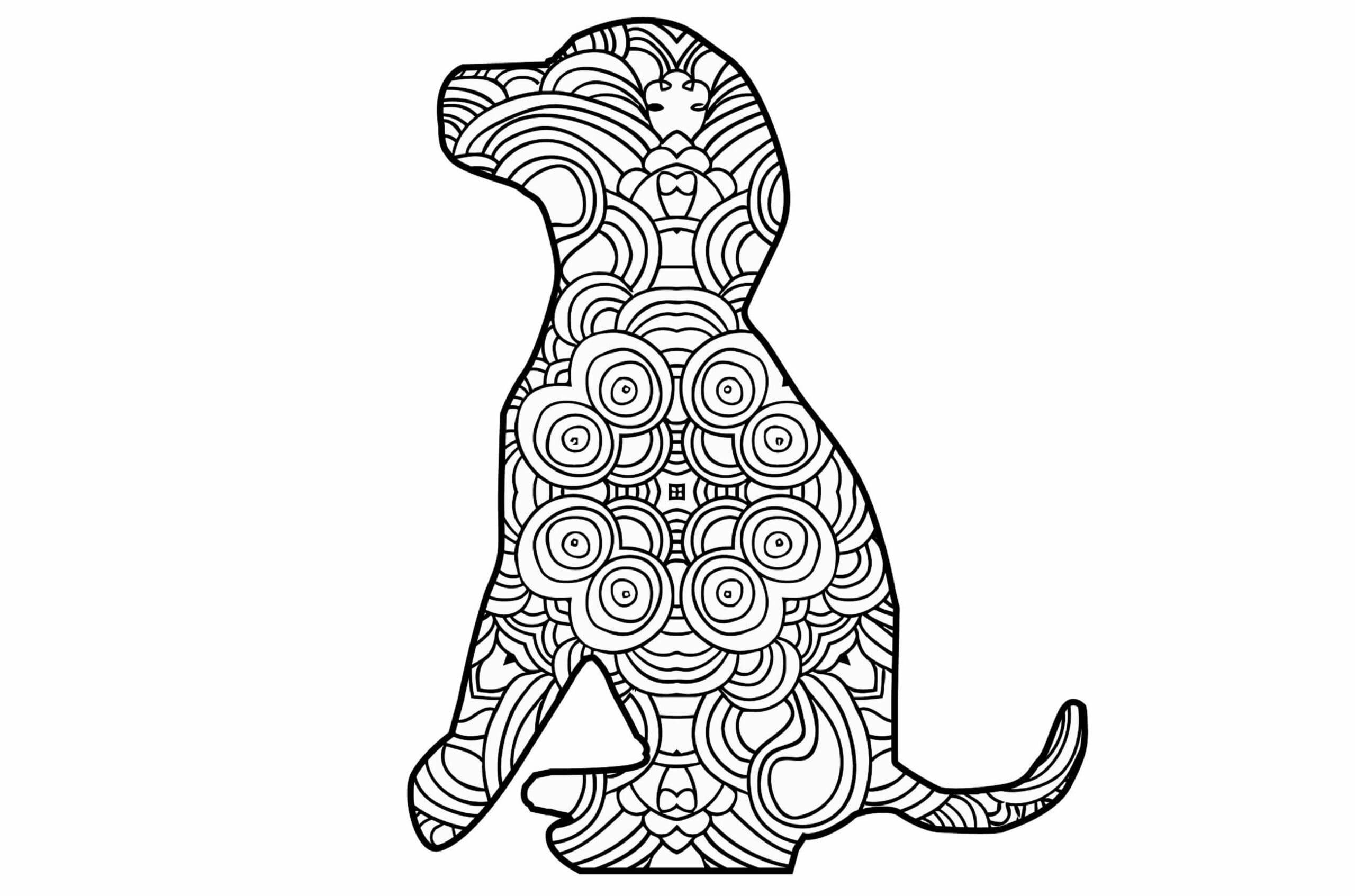 2. 健康的なタンパク質源を選択する