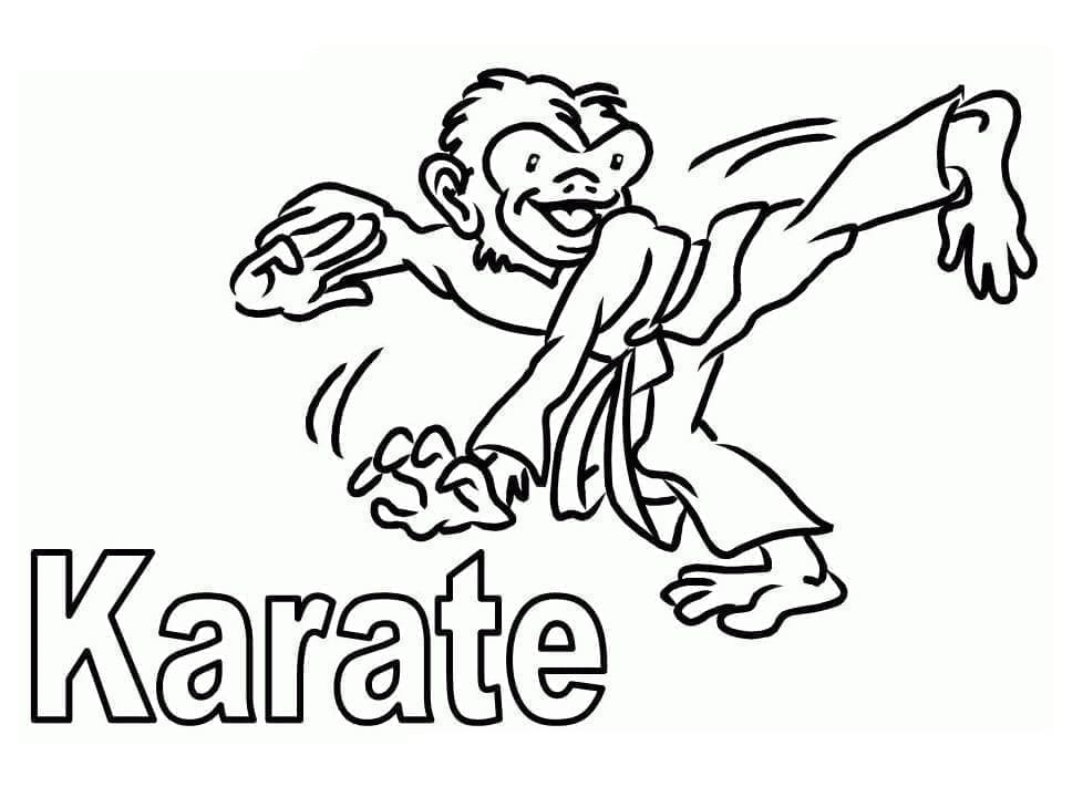 Karate opice omalovánka