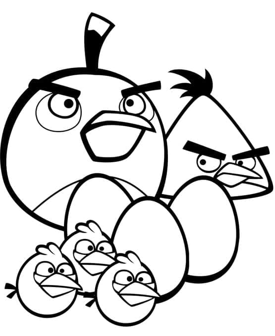 Angry Birds a vejce omalovánka