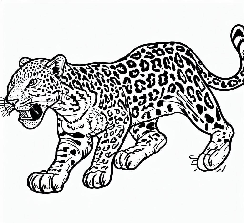 Omalovánka Divoký leopard