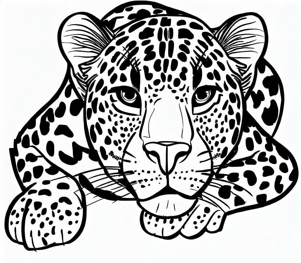 Omalovánka Kreslit leoparda – List 1