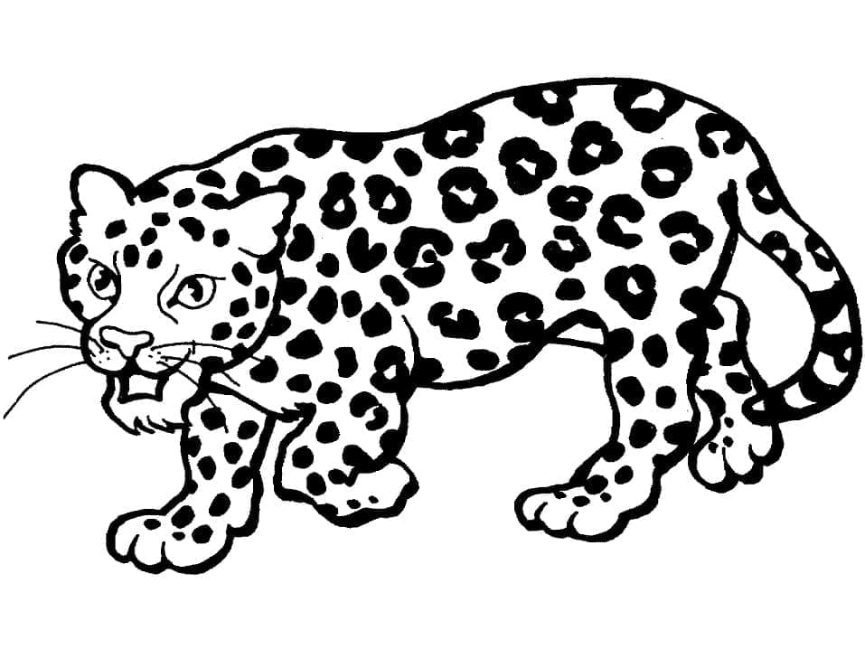 Tisk Leopard omalovánka