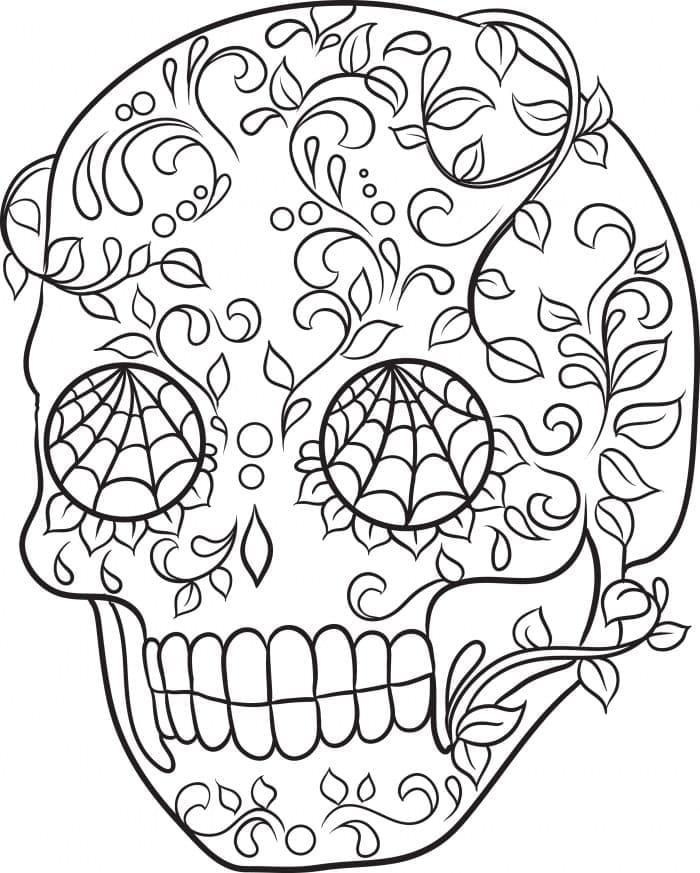 Kreslení exického Calavera omalovánka