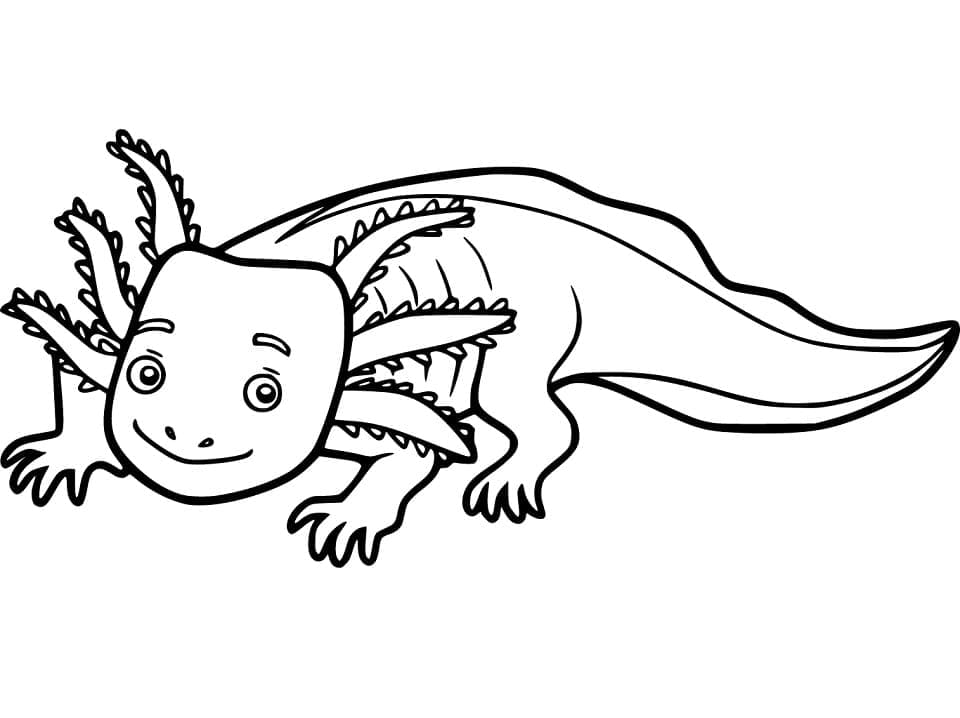 Axolotl zdarma k tisku omalovánka