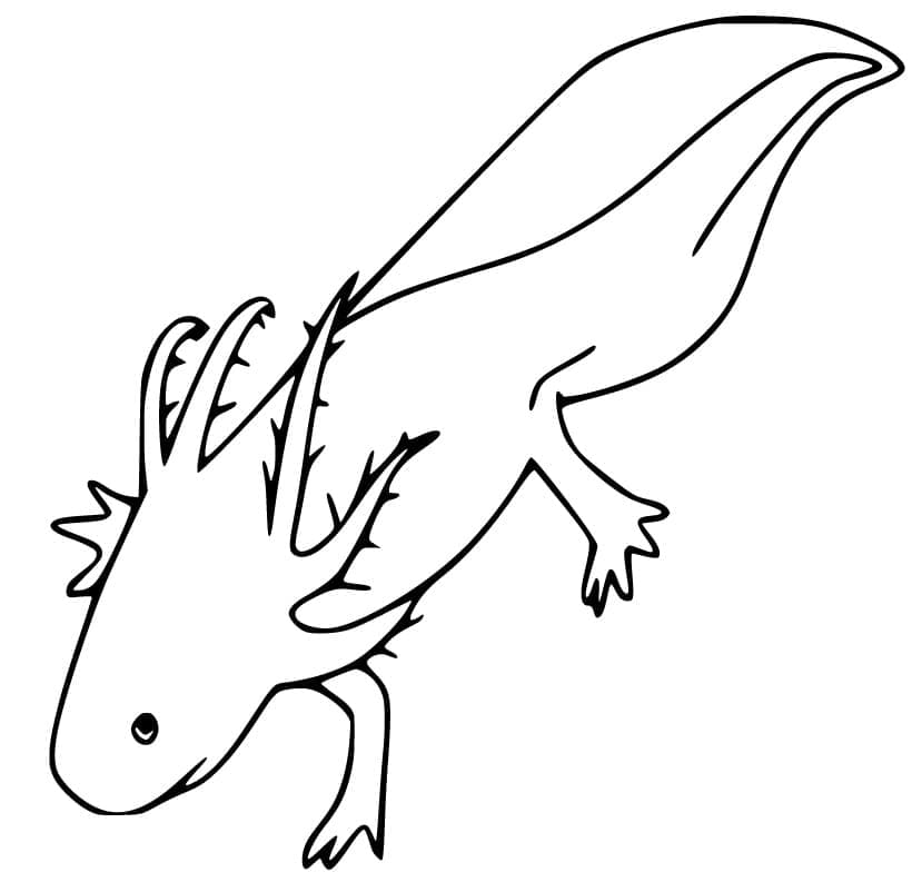 Axolotl zdarma pro děti omalovánka