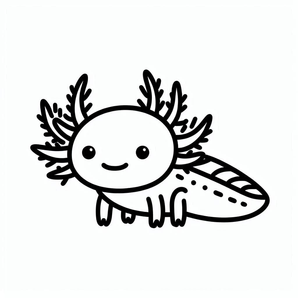 Kreslení Axolotl jednoduché omalovánka