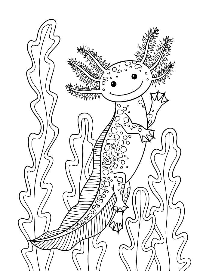 Kreslit Tisk Axolotl omalovánka