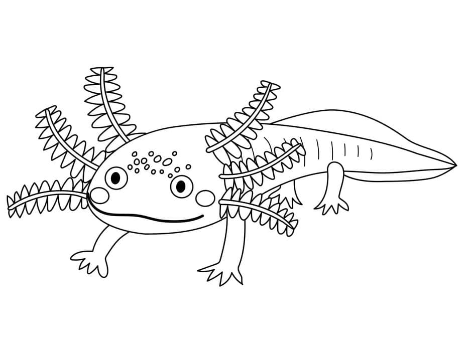 Nakreslete Axolotl zdarma omalovánka