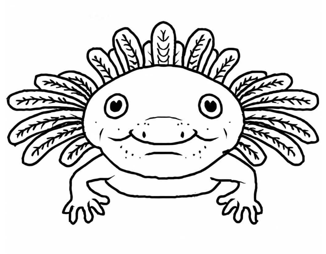 Nakreslete Ugly Axolotl omalovánka