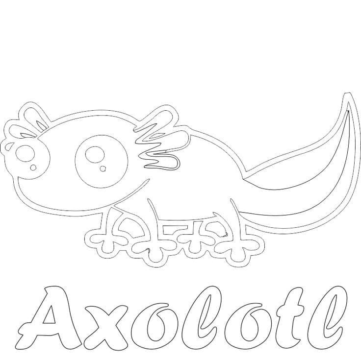 Zvědavý Axolotl omalovánka