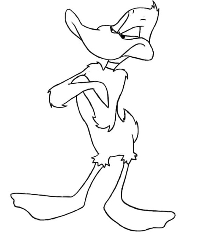 Kachna Daffy v Looney Tunes omalovánka