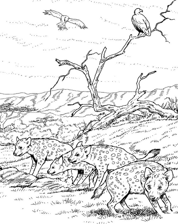 Hyena tisknutelné pro děti omalovánka