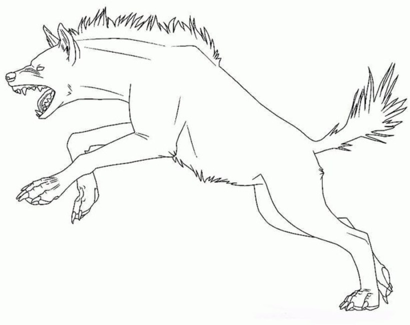 Hyena velmi pěkné omalovánka